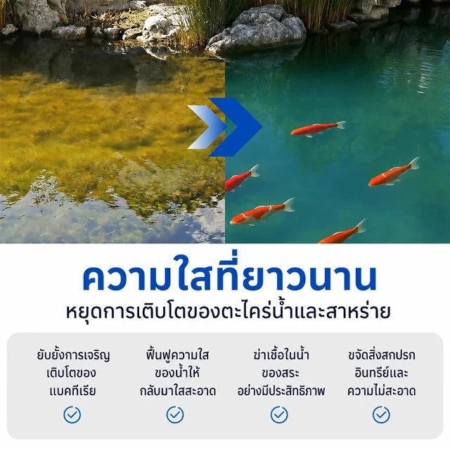 Fish Tank Water Care Tablets | تركيبة شوي لي تشينج الفريدة لحماية جودة المياه