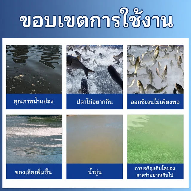 Fish Tank Water Care Tablets | تركيبة شوي لي تشينج الفريدة لحماية جودة المياه