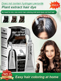 Fruit Essence Hair Dyeing Comb | مشط صبغة شعر بخلاصة الفواكه